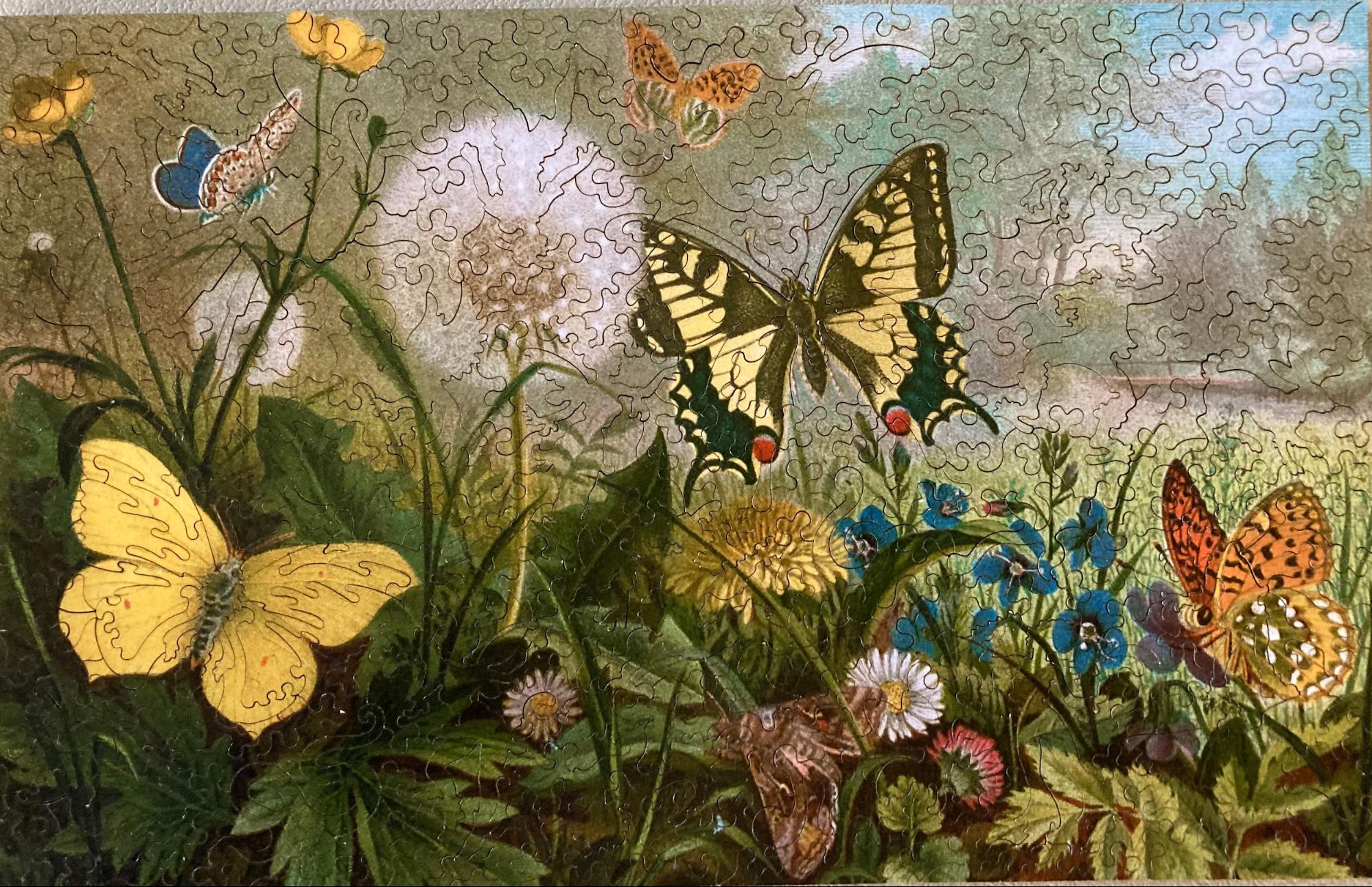 picture of German Butterflies by Liberty Puzzles